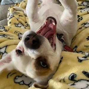 Meet your Posher, Caleb